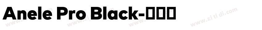 Anele Pro Black字体转换
